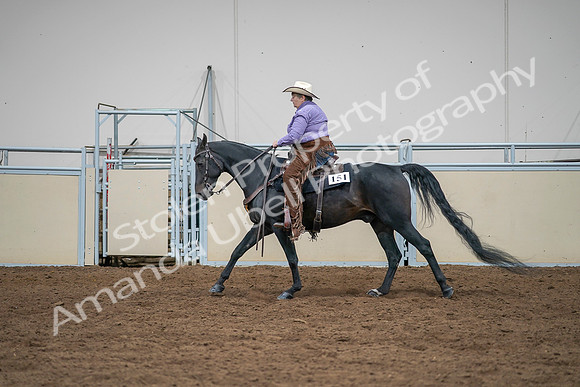 2020 - AB Morgan Horse - Sat, Sept 05 - 05664