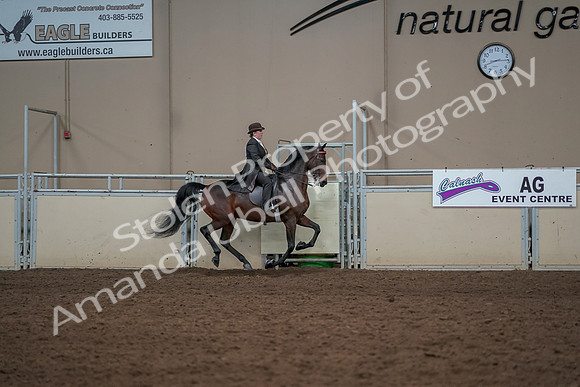 2019 Morgan Horse Show - Aug 30, 2019 - 28197
