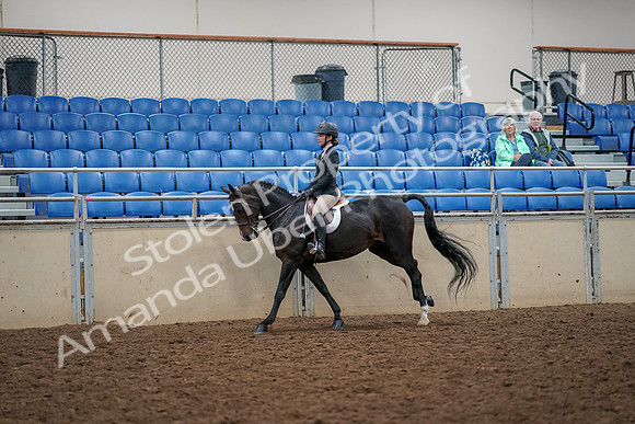 2019 Morgan Horse Show - Aug 30, 2019 - 23398