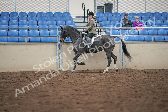 2019 Morgan Horse Show - Aug 30, 2019 - 20292
