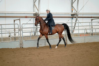Class 096 - All Breed Executive Pleasure