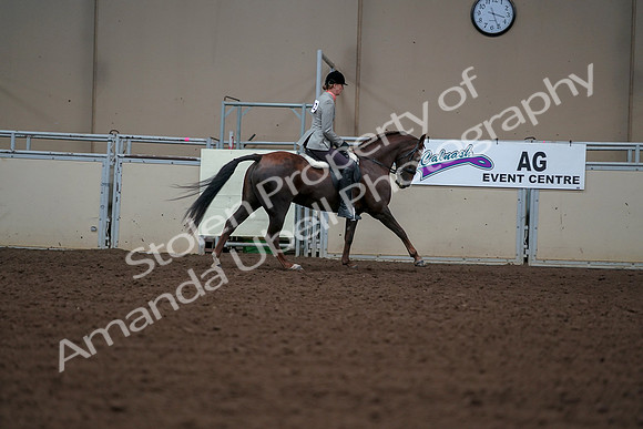 2019 Morgan Horse Show - Aug 30, 2019 - 18568