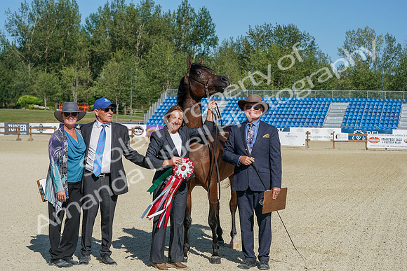2024 - WCB - July 19 - 03765