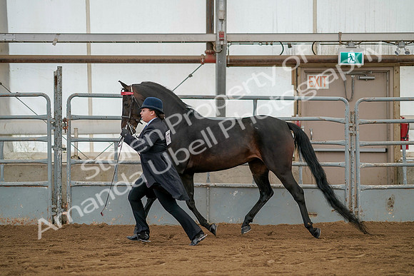 July 19, 2019 - 2082