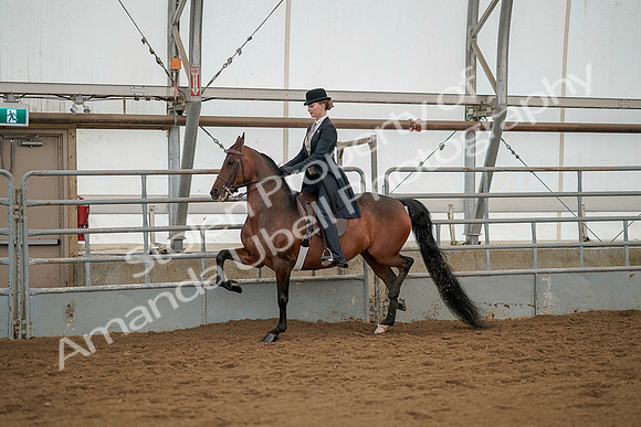 July 20, 2019 - 04260