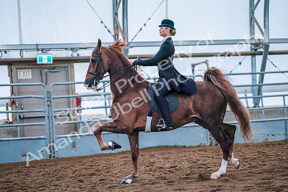 July 20, 2019 - 23907