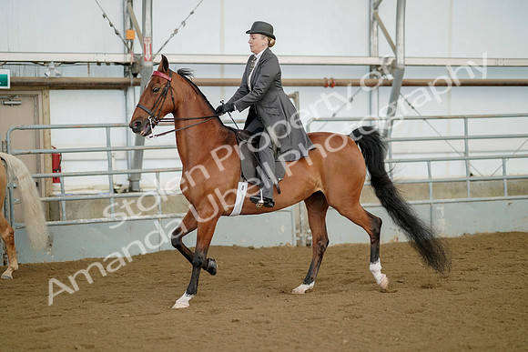 July 21, 2019 - 01631