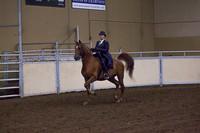 Class 123 - All Breeds English Pleasure, Open