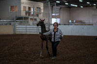 2019 Morgan Horse Show - Aug 31, 2019 - 00065