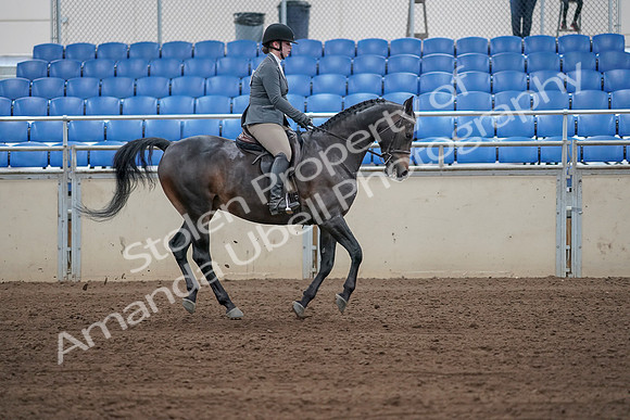 2019 Morgan Horse Show - Sept 01, 2019 - 11062