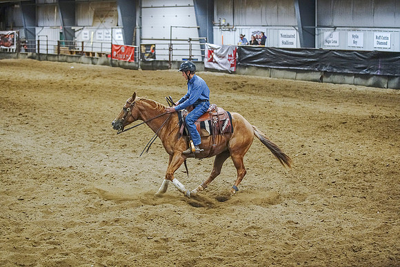 DSC09339