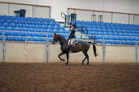 2019 Morgan Horse Show - Aug 30, 2019 - 12136
