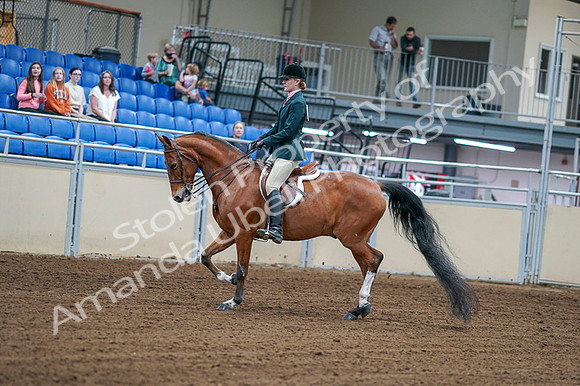 2020 - AB Morgan Horse - Fri, Sept 04 - 01545