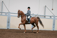 2020 - AB Morgan Horse - Sat, Sept 05 - 03033
