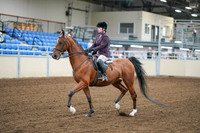 2020 - AB Morgan Horse - Fri, Sept 04 - 02217