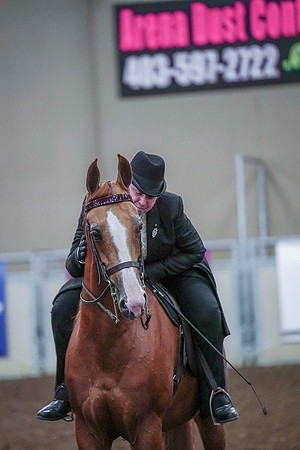 Spring Fling - Saturday - April 20, 2019  -  00858