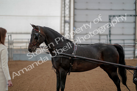July 20, 2019 - 00282