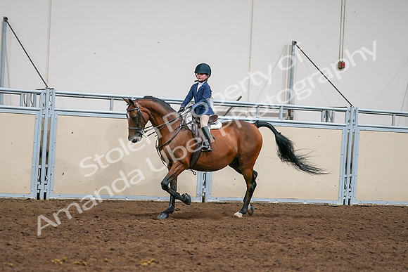 2020 - AB Morgan Horse - Sun, Sept 06 - 08162