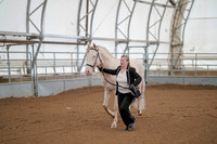 Class 004 - All Breed In-Hand - 3yrs & over