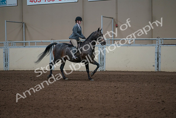 2019 Morgan Horse Show - Sept 01, 2019 - 11050
