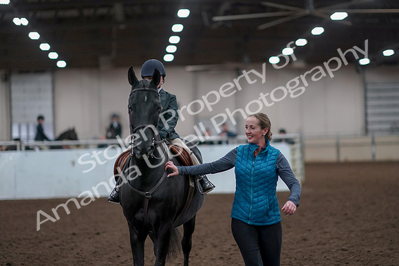 2019 Morgan Horse Show - Aug 31, 2019 - 19745