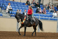 2020 - AB Morgan Horse - Sat, Sept 05 - 10356