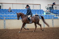 2019 Morgan Horse Show - Aug 30, 2019 - 17250