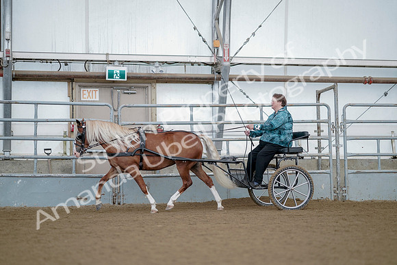 July 21, 2019 - 06758