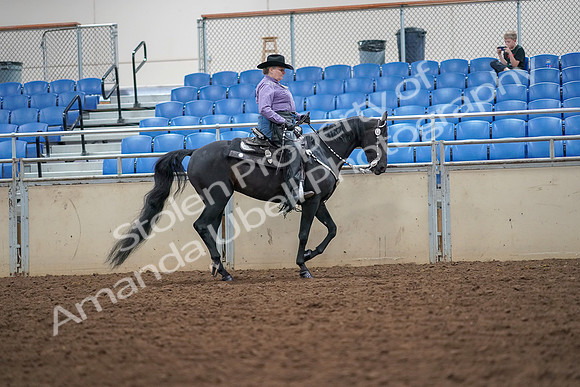 2019 Morgan Horse Show - Aug 30, 2019 - 16932