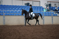 2019 Morgan Horse Show - Aug 30, 2019 - 18291