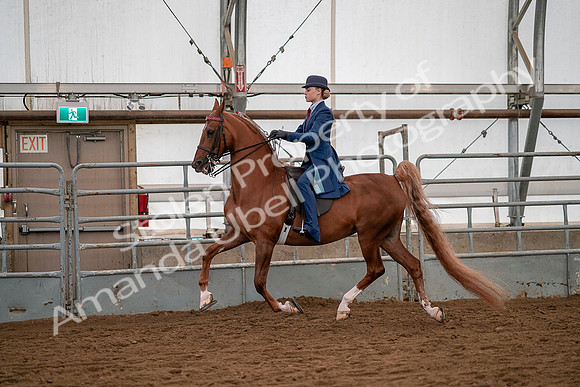 July 19, 2019 - 10374