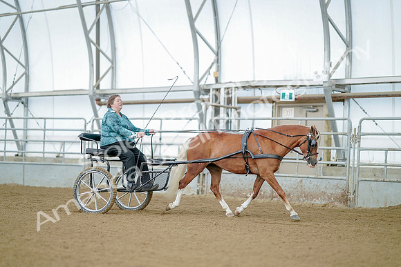 July 21, 2019 - 09213