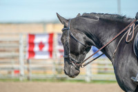 Cross National Cup Canada - Aug 17, 2019 - 07053