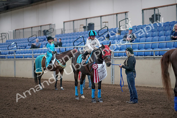 2019 Morgan Horse Show - Aug 31, 2019 - 10124