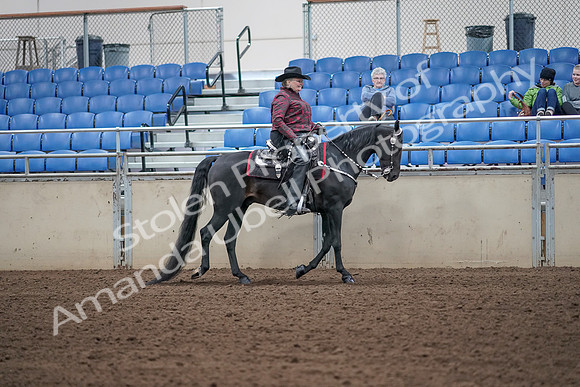 2019 Morgan Horse Show - Aug 31, 2019 - 10751