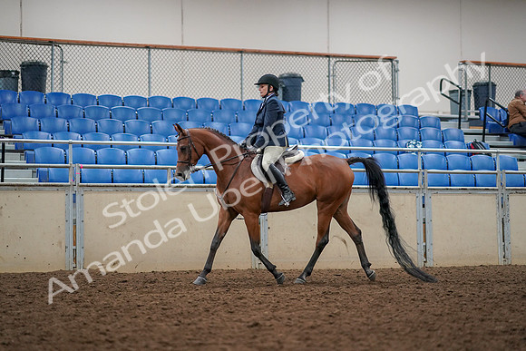 2019 Morgan Horse Show - Aug 30, 2019 - 22253