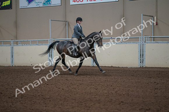 2019 Morgan Horse Show - Sept 01, 2019 - 11042