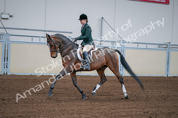 2020 - AB Morgan Horse - Fri, Sept 04 - 01701