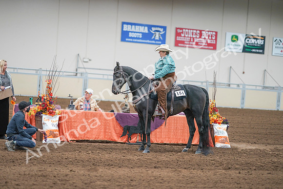 2020 - AB Morgan Horse - Sun, Sept 06 - 01668