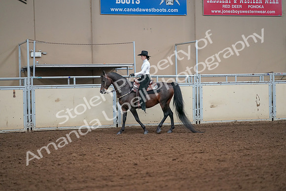 2019 Morgan Horse Show - Aug 30, 2019 - 16900