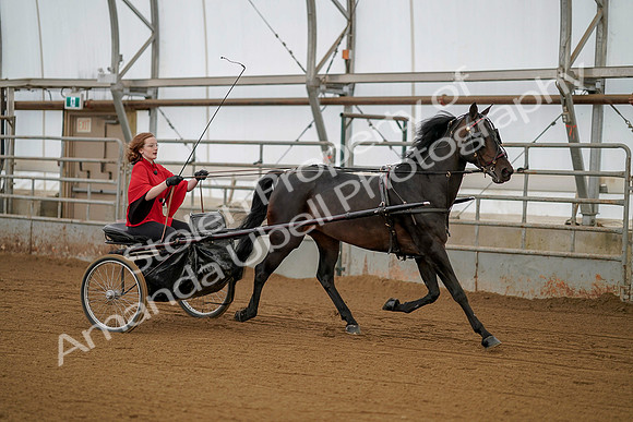July 20, 2019 - 00229