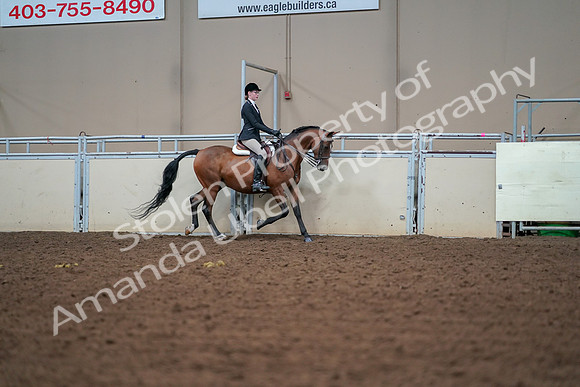 2019 Morgan Horse Show - Aug 30, 2019 - 20757