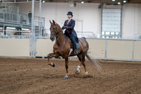 2020 - AB Morgan Horse - Sat, Sept 05 - 06038