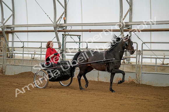 July 20, 2019 - 00193