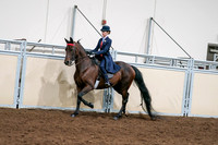 2020 - AB Morgan Horse - Sat, Sept 05 - 08533