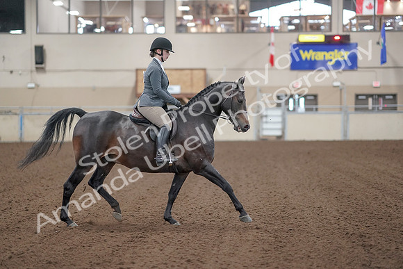 2019 Morgan Horse Show - Sept 01, 2019 - 11026