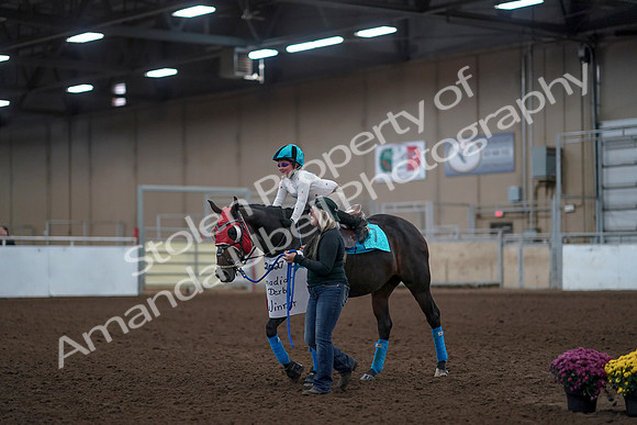 2019 Morgan Horse Show - Aug 31, 2019 - 10099