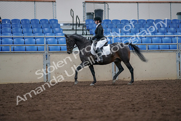 2019 Morgan Horse Show - Aug 30, 2019 - 18398