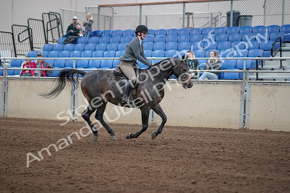2019 Morgan Horse Show - Sept 01, 2019 - 11128