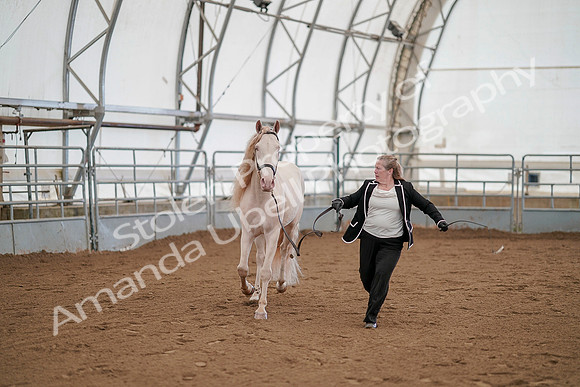 July 19, 2019 - 1133